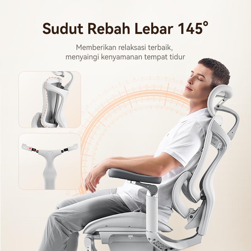 C300 Kursi Kerja Kantor Ergonomic Gaming
