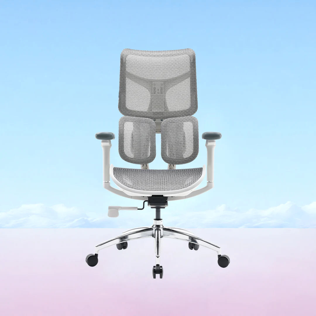 Doro S100 Ergonomic Office Chair with Dual Dynamic Lumbar Support
