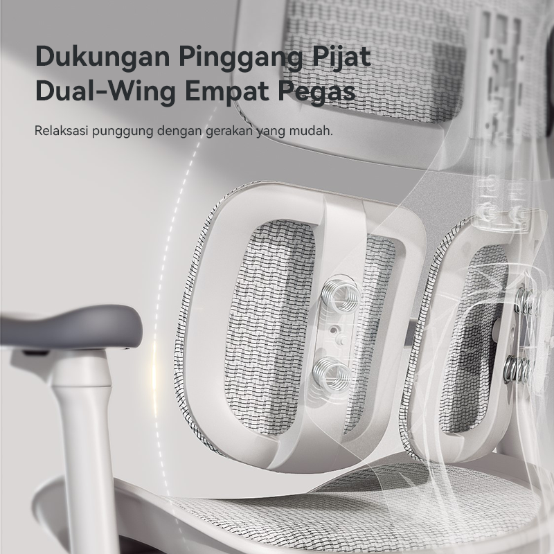 Doro S100 Ergonomic Office Chair with Dual Dynamic Lumbar Support