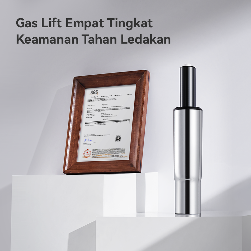 Doro S100 Ergonomic Office Chair with Dual Dynamic Lumbar Support