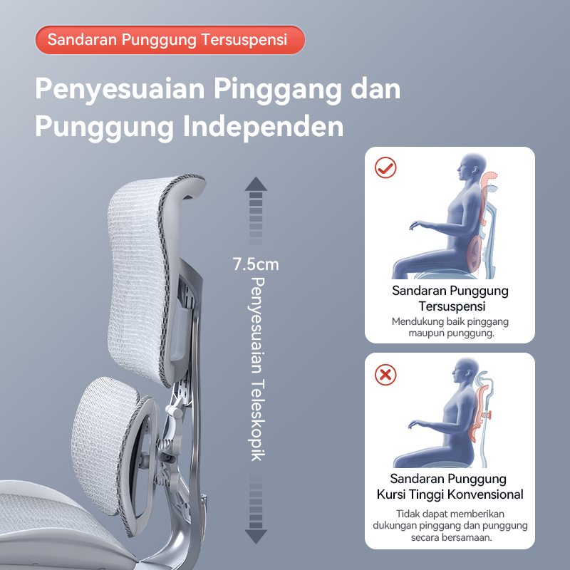 Doro S300 "Gravity-Defying" Ergonomic Chair