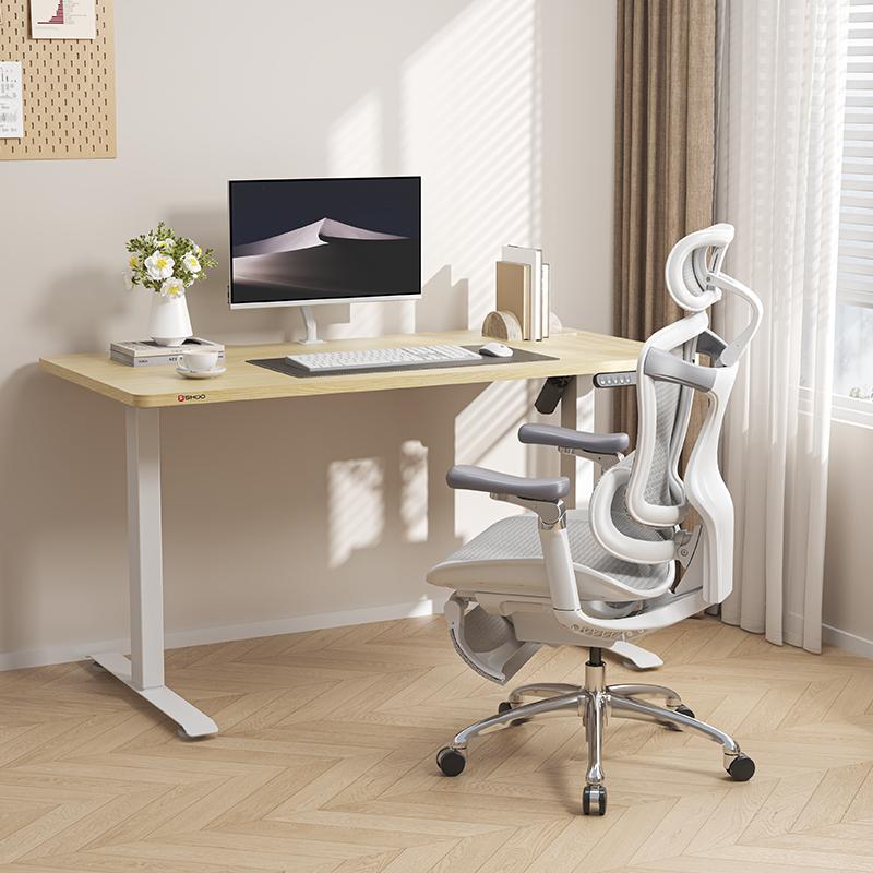 D03 Meja Kerja Elektrik Meja Belajar Meja Komputer Meja Kantor Gaming Adjustable Standing Desk