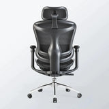 Sihoo Doro C300 Ergonomic Office Chair - Official US Sihoo Store