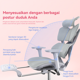 X5C Ergonomic Chair