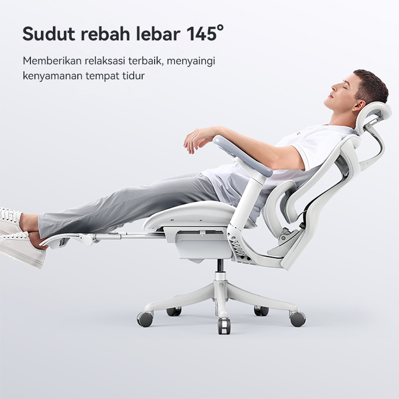 Doro C100 Ergonomic Chair