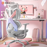 X5C Ergonomic Chair